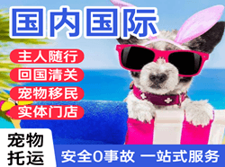 集宁空运地址国际宠物托运 【国